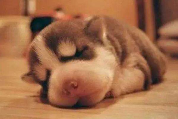 男性和女性睡觉前请注意 不然后果很严重