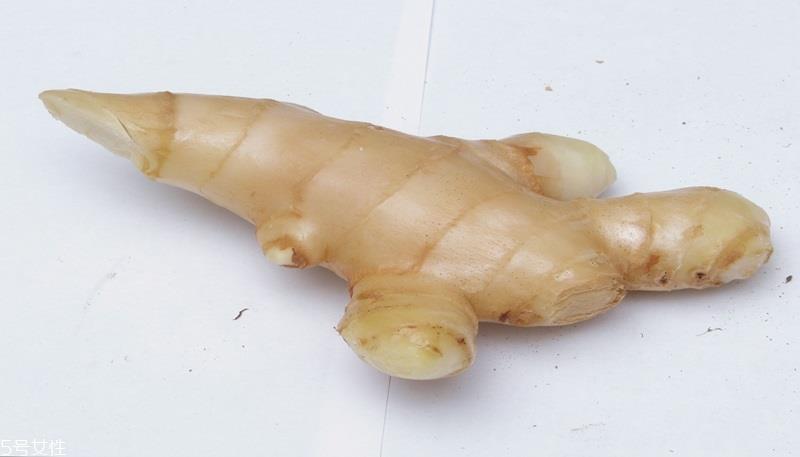 老姜和嫩姜功效的区别 不同姜的特点