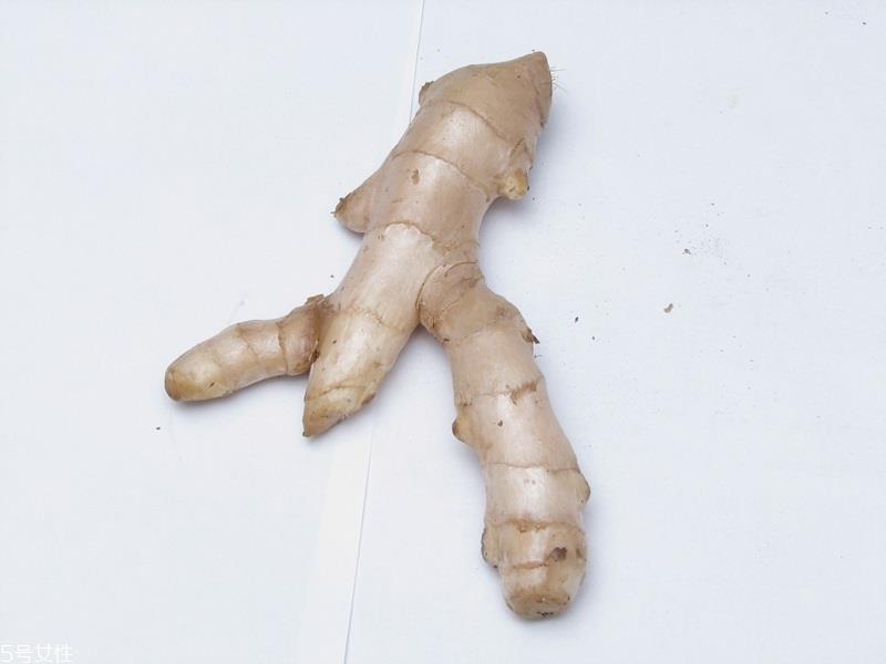 老姜和嫩姜功效的区别 不同姜的特点