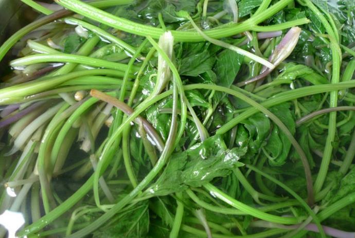 小叶芹怎么做好吃 小叶芹野菜有毒吗