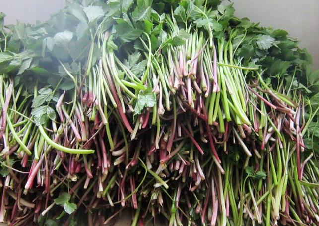 小叶芹怎么做好吃 小叶芹野菜有毒吗