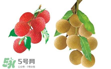 荔枝和龙眼有什么区别？荔枝和龙眼可以一起吃吗