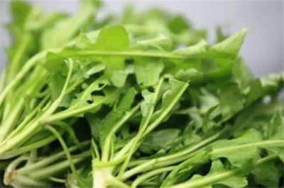 ​荠菜包饺子要用开水烫一下吗 荠菜包饺子怎么做好吃