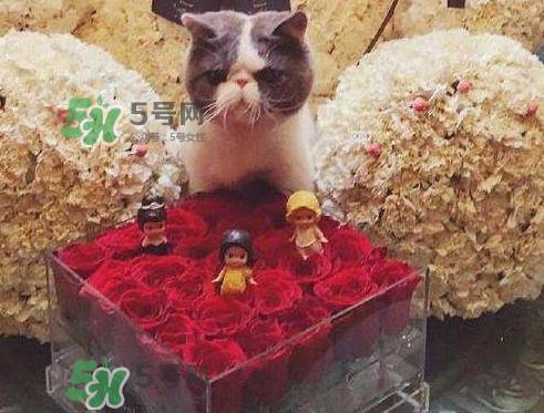 七夕怎么晒礼物_七夕晒礼物图片_晒男朋友七夕送礼物说说