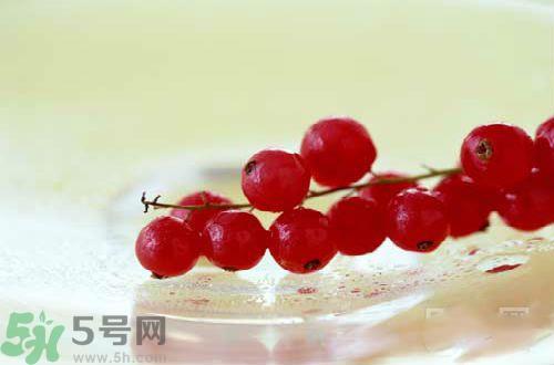 蔓越莓的功效作用 蔓越莓的营养价值食用禁忌