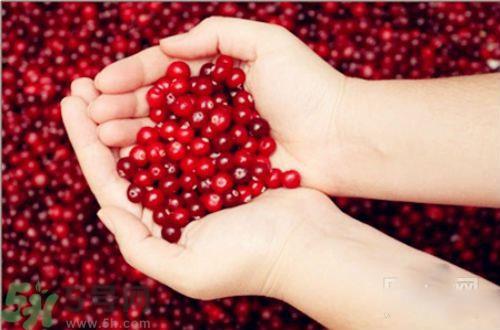 蔓越莓的功效作用 蔓越莓的营养价值食用禁忌