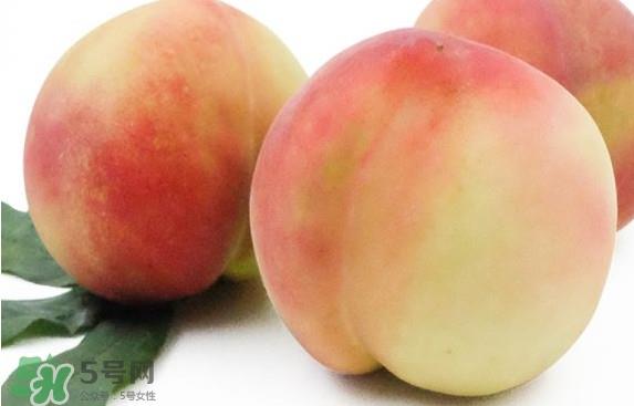 脆桃有什么营养？脆桃的营养价值