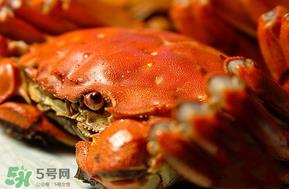 三月份吃什么螃蟹？3月份吃什么螃蟹？