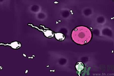 什么是宫内节育器？放置宫内节育器为什么能避孕？