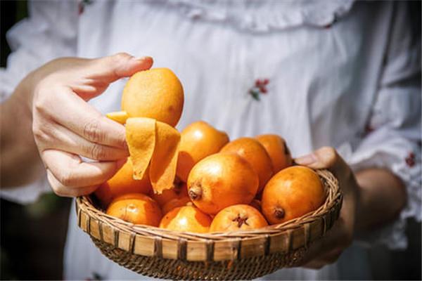 枇杷叶能和梨一起煮吗 枇杷叶的作用