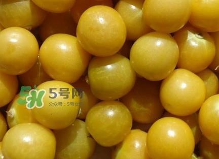 姑娘果有什么好处？姑娘果有什么功效