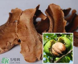 核桃分心木能长期喝吗？核桃分心木一天喝几次？