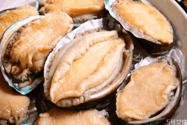 鲍鱼的生长环境是怎么样的呢 鲍鱼好吃吗 鲍鱼的生长环境是怎么样的呢 鲍鱼好吃吗