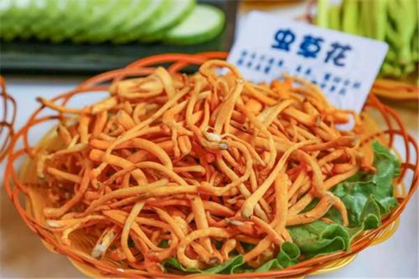 虫草花是菌类吗 虫草花的作用是什么