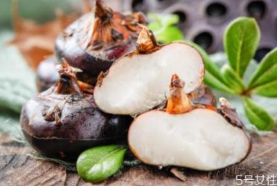 ​马蹄泡酒的做法 马蹄泡酒有什么功效