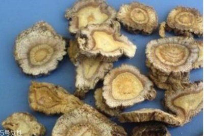 ​什么是前胡呢 前胡有什么作用呢