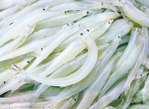 银鱼怎么做给宝宝吃 推荐是银鱼面
