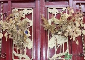 端午节门上挂的那个草叫什么?端午节挂门上的叫什么? 端午节门上挂的那个草叫什么?端午节挂门上的叫什么?