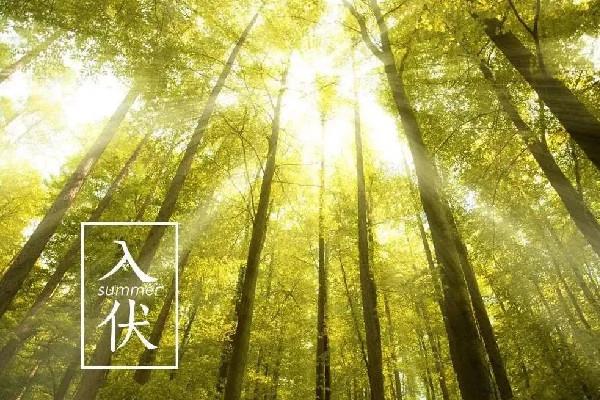 入伏会影响睡眠吗 入伏犯困是由什么原因造成的 入伏会影响睡眠吗 入伏犯困是由什么原因造成的