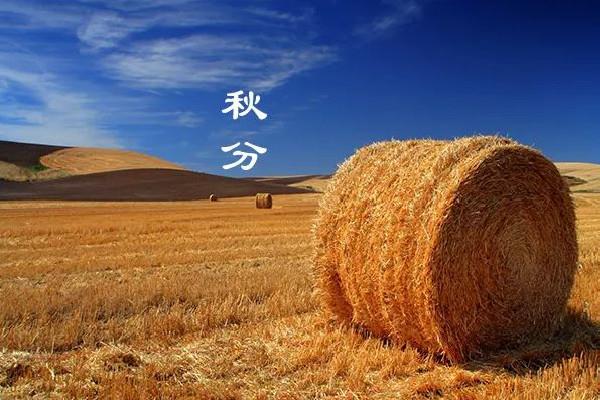 秋分和立秋哪一个是秋天的开始 秋分后还有蚊子吗 秋分和立秋哪一个是秋天的开始 秋分后还有蚊子吗