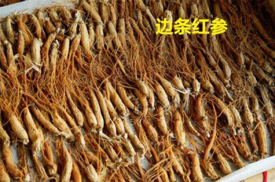 ​边条红参和普通红参哪个贵 前者价格更高