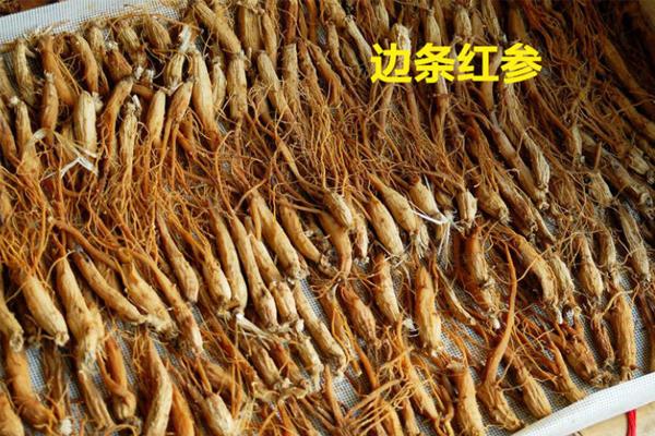 边条红参和普通红参哪个贵 前者价格更高