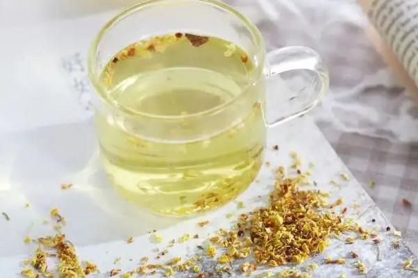 桂花茶一次泡多少克 桂花茶和茉莉花茶哪个好