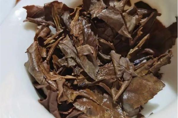 老白茶的价格是多少钱一斤 老白茶属于什么档次