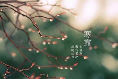 ​寒露的节气的含义是什么意思 寒露的来历和风俗