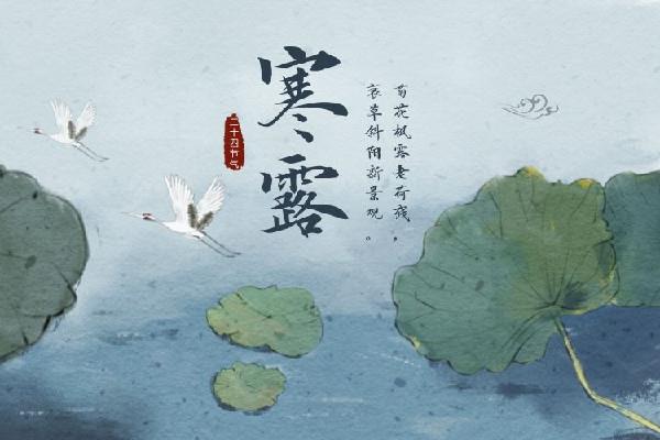 寒露的节气的含义是什么意思 寒露的来历和风俗