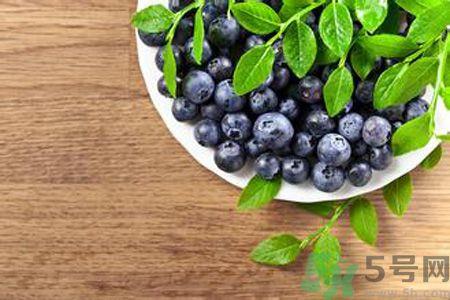 什么是蓝莓李果?蓝莓李果和蓝莓的区别? 什么是蓝莓李果?蓝莓李果和蓝莓的区别?