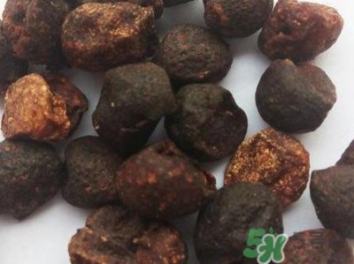 ​山黄皮的功效是什么？山黄皮的功效与作用