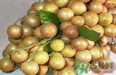 山黄皮的功效是什么？山黄皮的功效与作用