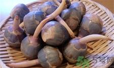 慈姑的营养价值 慈姑的功效与作用 慈姑的营养价值 慈姑的功效与作用