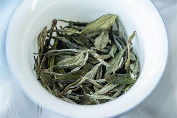 白牡丹茶要放冰箱吗 白牡丹茶怎么保存