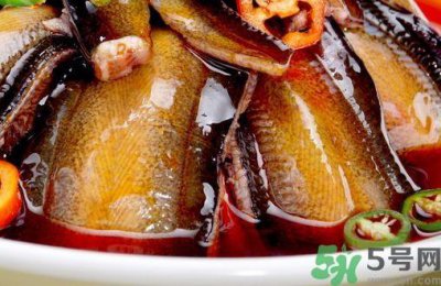 ​鳝鱼可以和鸡汤一起吃吗?鳝鱼能和鸡汤同吃吗?