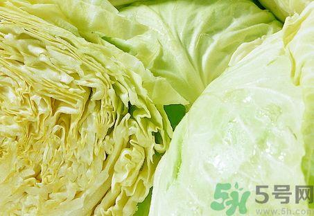 包菜可以和洋葱一起吃吗?包菜能和洋葱同吃吗?