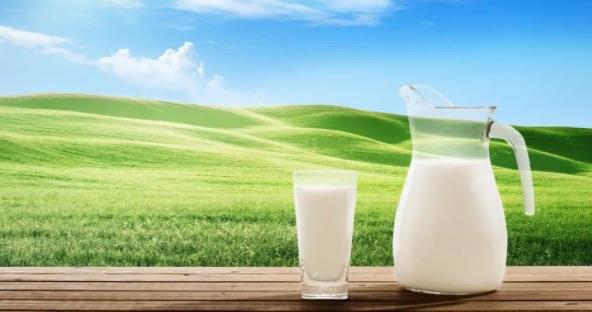 网络图片(侵删)