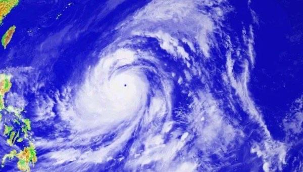 网络图片(侵删)