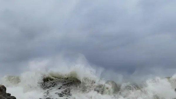 网络图片(侵删)