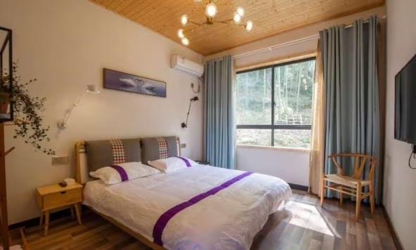 网络图片(侵删)