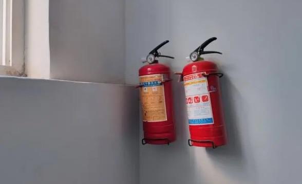 网络图片(侵删)