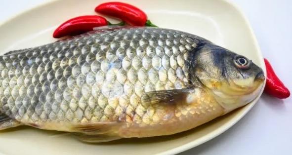 网络图片(侵删)