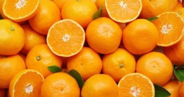 网络图片(侵删)