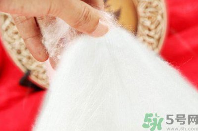 ​蚕丝被和棉花被哪个好?蚕丝被和棉花被的区别