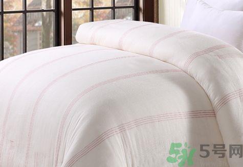 蚕丝被和棉花被哪个好?蚕丝被和棉花被的区别