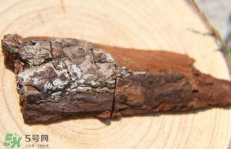 安哥拉树皮有依赖性吗？安哥拉树皮有没有依赖性？