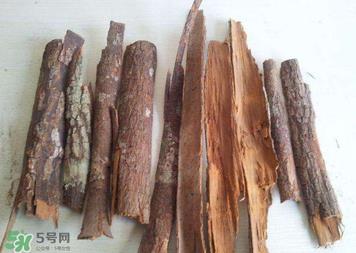 安哥拉树皮有依赖性吗？安哥拉树皮有没有依赖性？