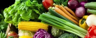 ​蔬菜都有什么