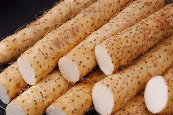 山药有几个品种 山药哪个品种好吃